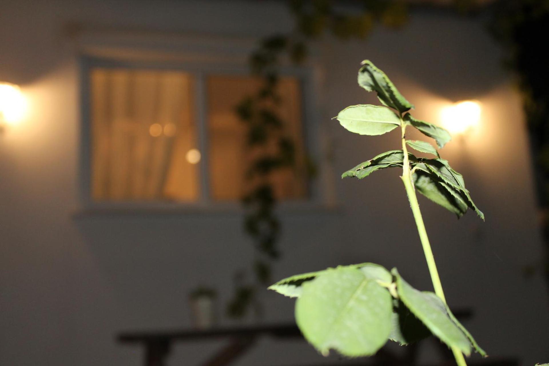 Ηώς Apartment Thassos Exterior foto